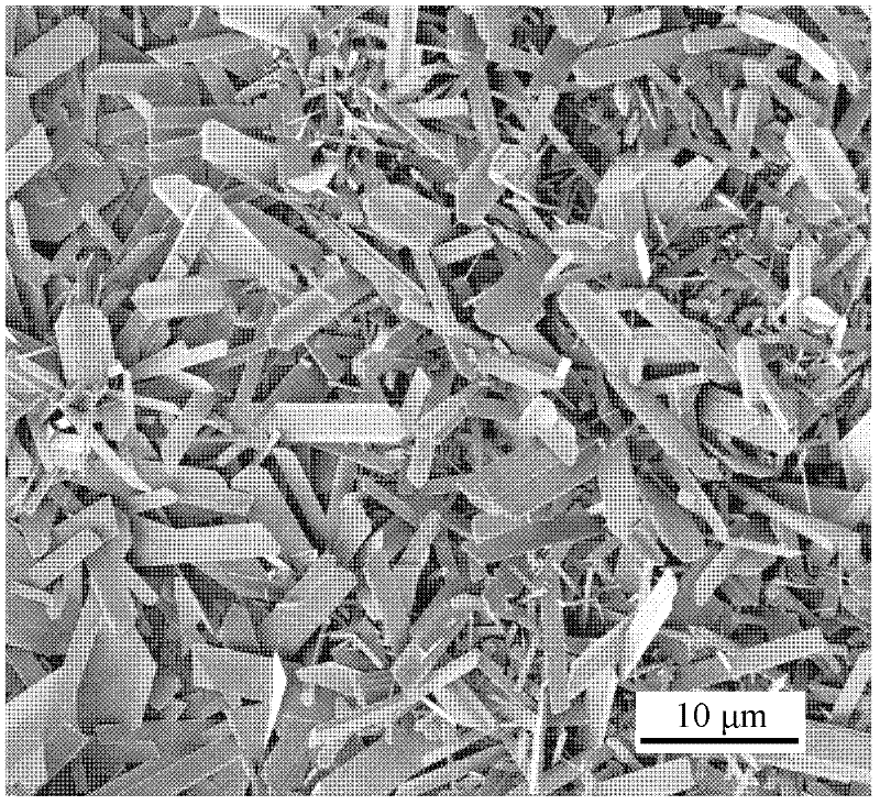 Method for preparing molybdenum trioxide in nanometer structure