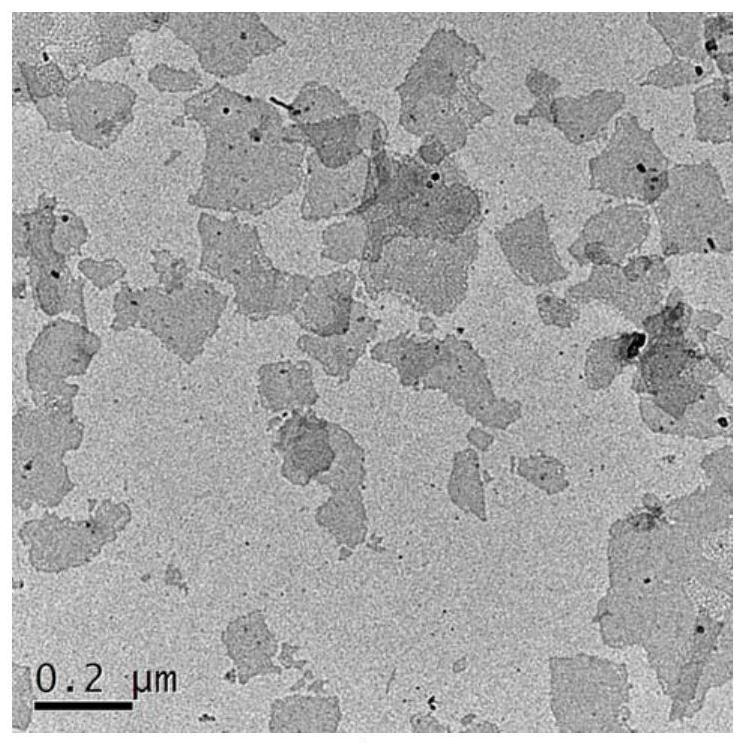 Nanosheet containing nitric oxide donor and its preparation method and application