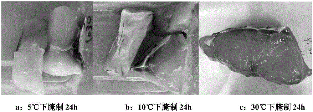 Solid-state fermentation pickled fishes and preparation method thereof