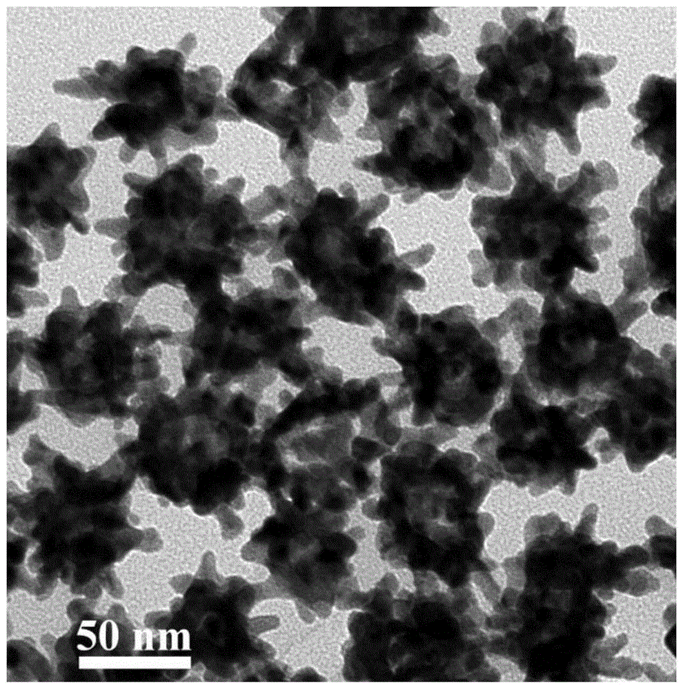 Composite nanomaterial with core-shell structure and its preparation method and application