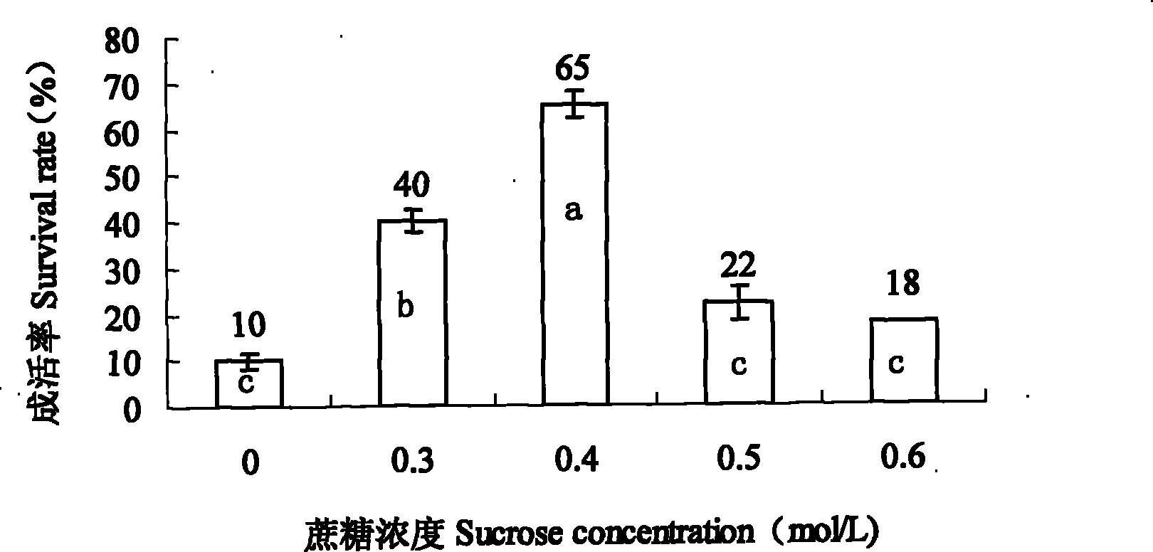 Cryopreservation method for chrysanthemum