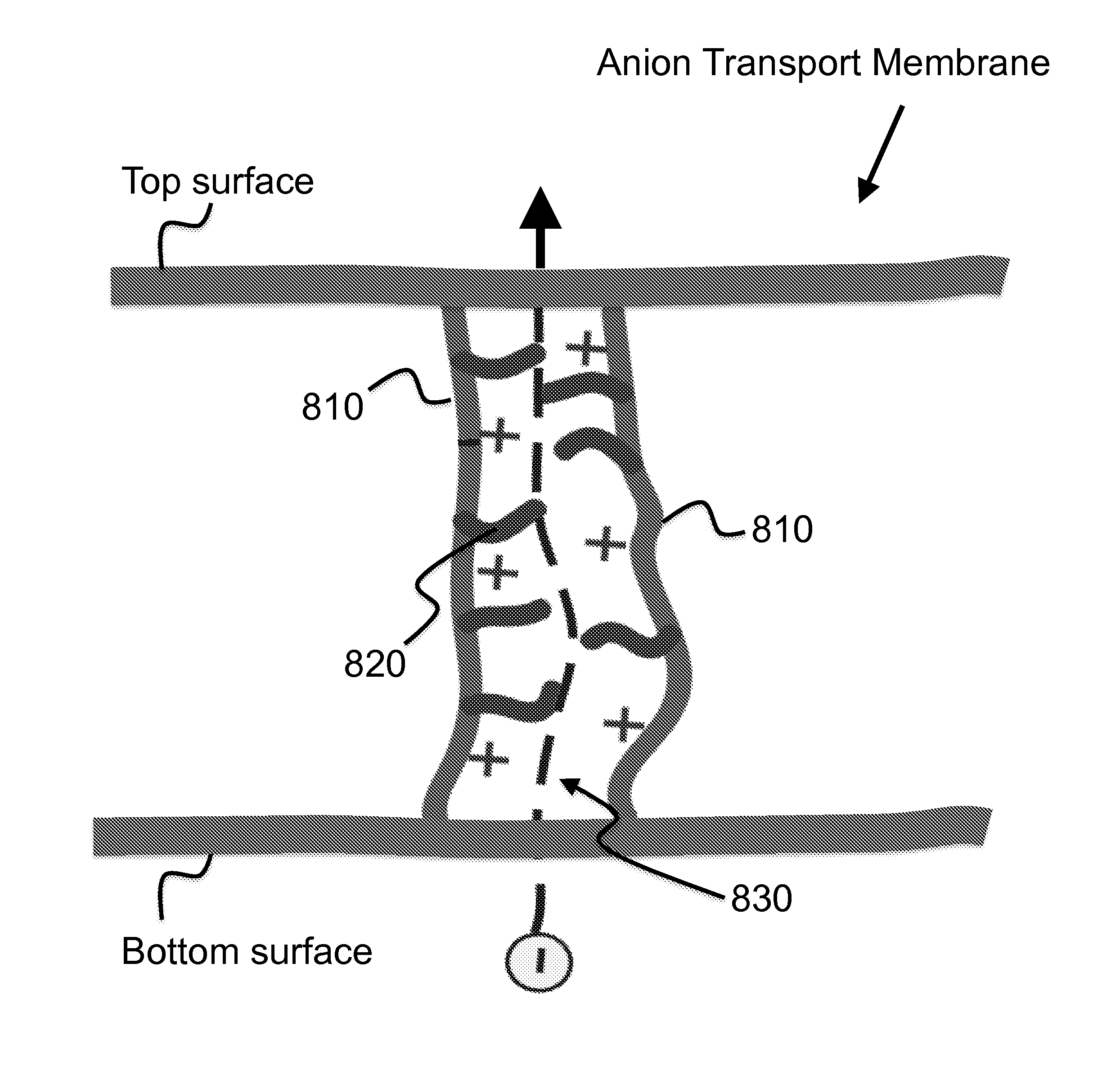 Anion Transport Membrane