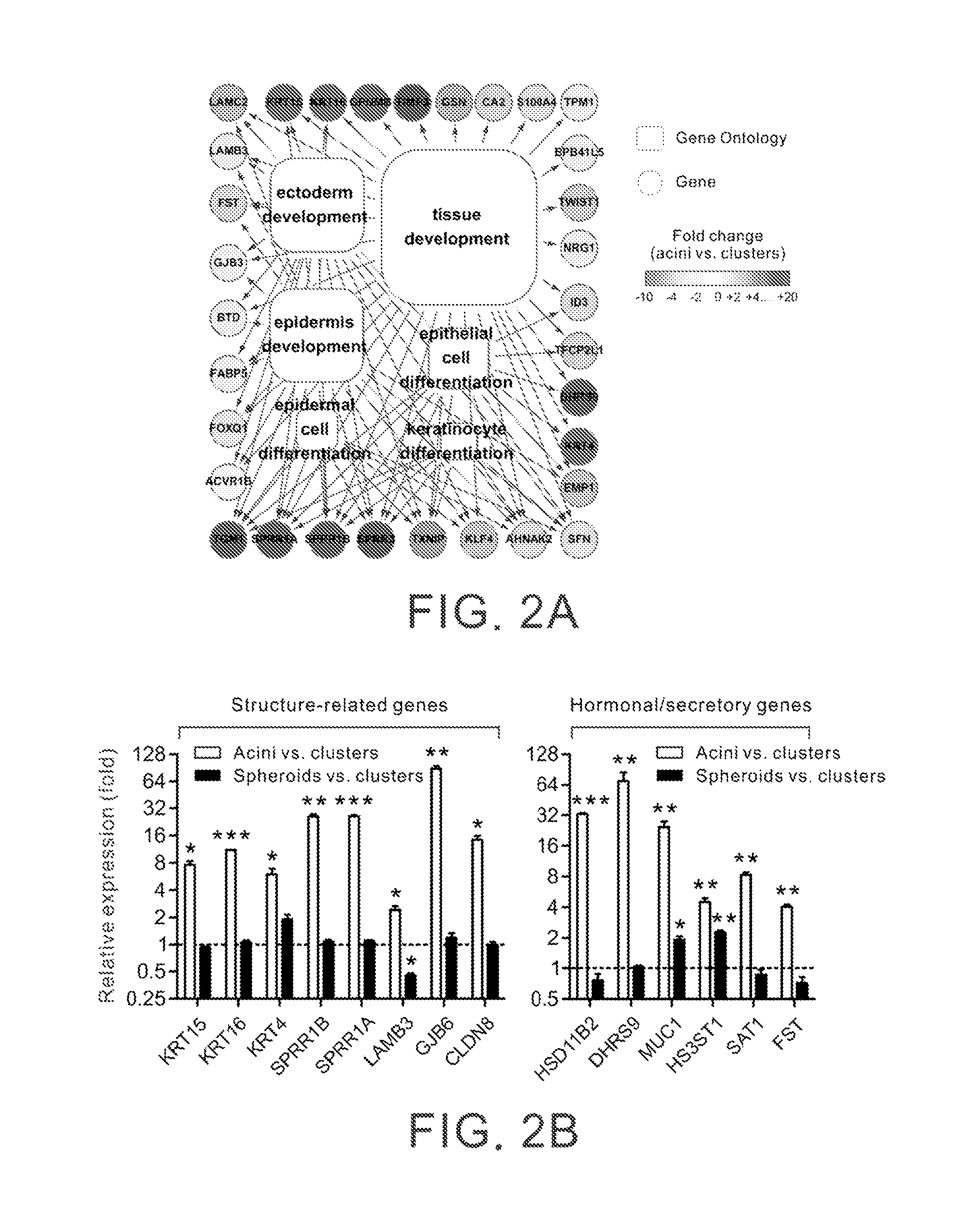Molecular markers for prognostically predicting prostate cancer, method and kit thereof