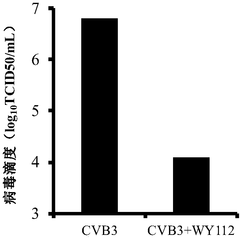 Application of nitrogen-containing heterocyclic aromatic ester compounds in the preparation of drugs against Coxsackie virus type b3