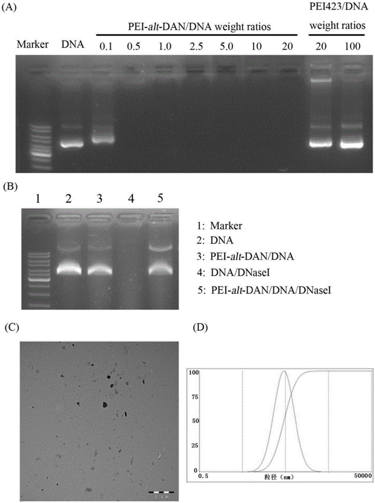 Nano-carrier capable of realizing co-delivery of genes and medicines and preparation method of nano-carrier