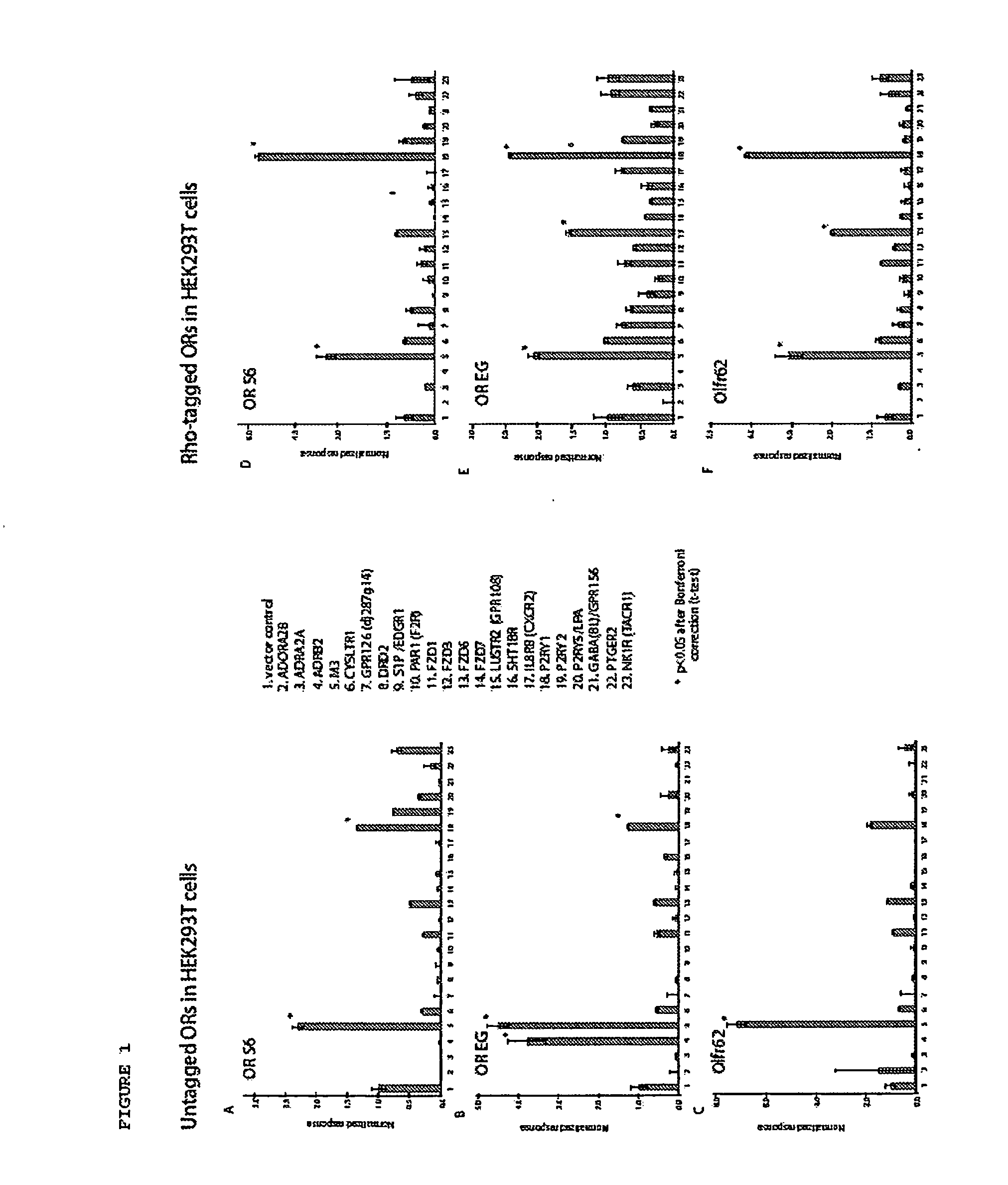 Compositions and methods for enhancing odorant receptor activity