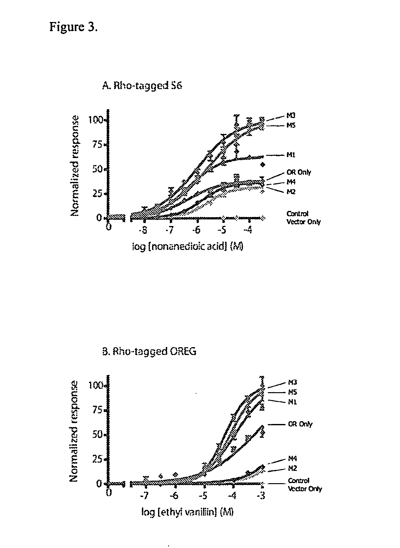 Compositions and methods for enhancing odorant receptor activity