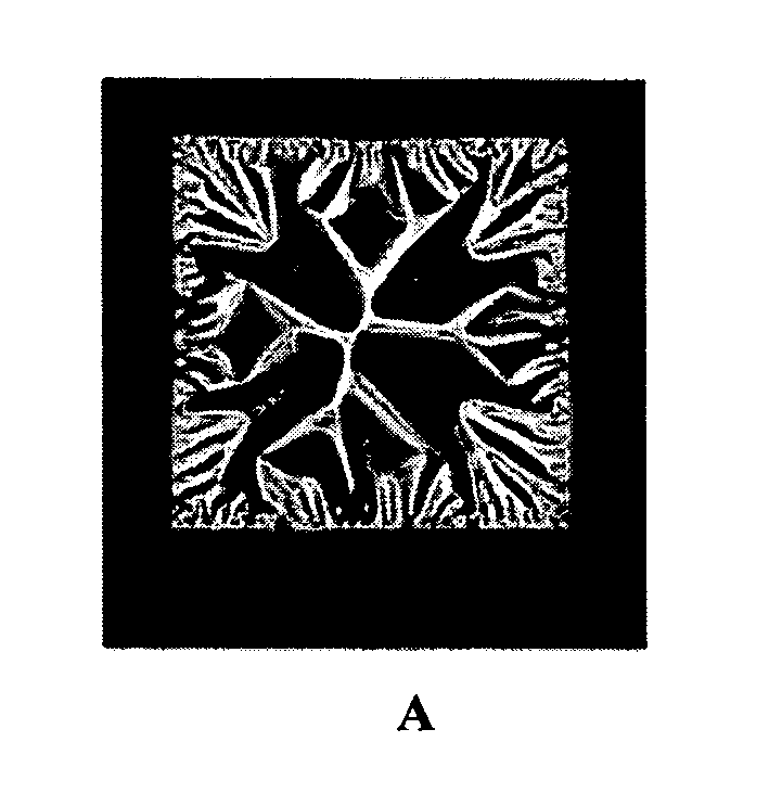 Ultrathin nanoscale membranes, methods of making, and uses thereof