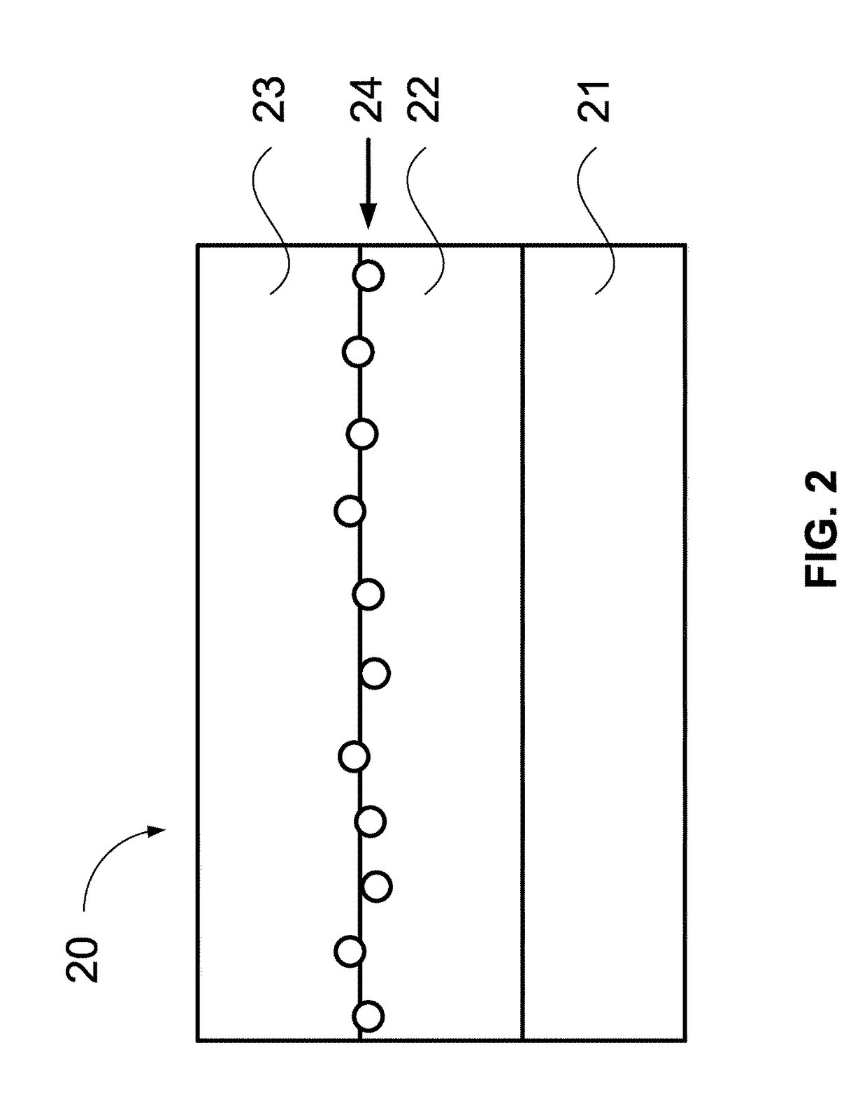 Organic negative electrode with chlorophyll and battery using the organic negative electrode