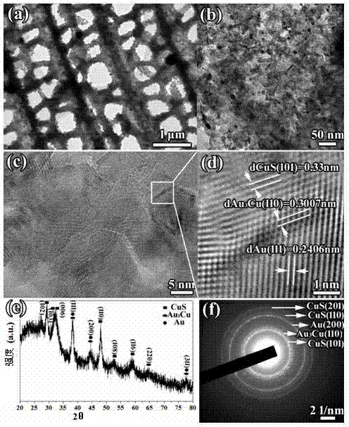 Nano-particle system and preparation system and application of nano-particle system