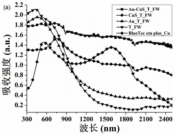 Nano-particle system and preparation system and application of nano-particle system