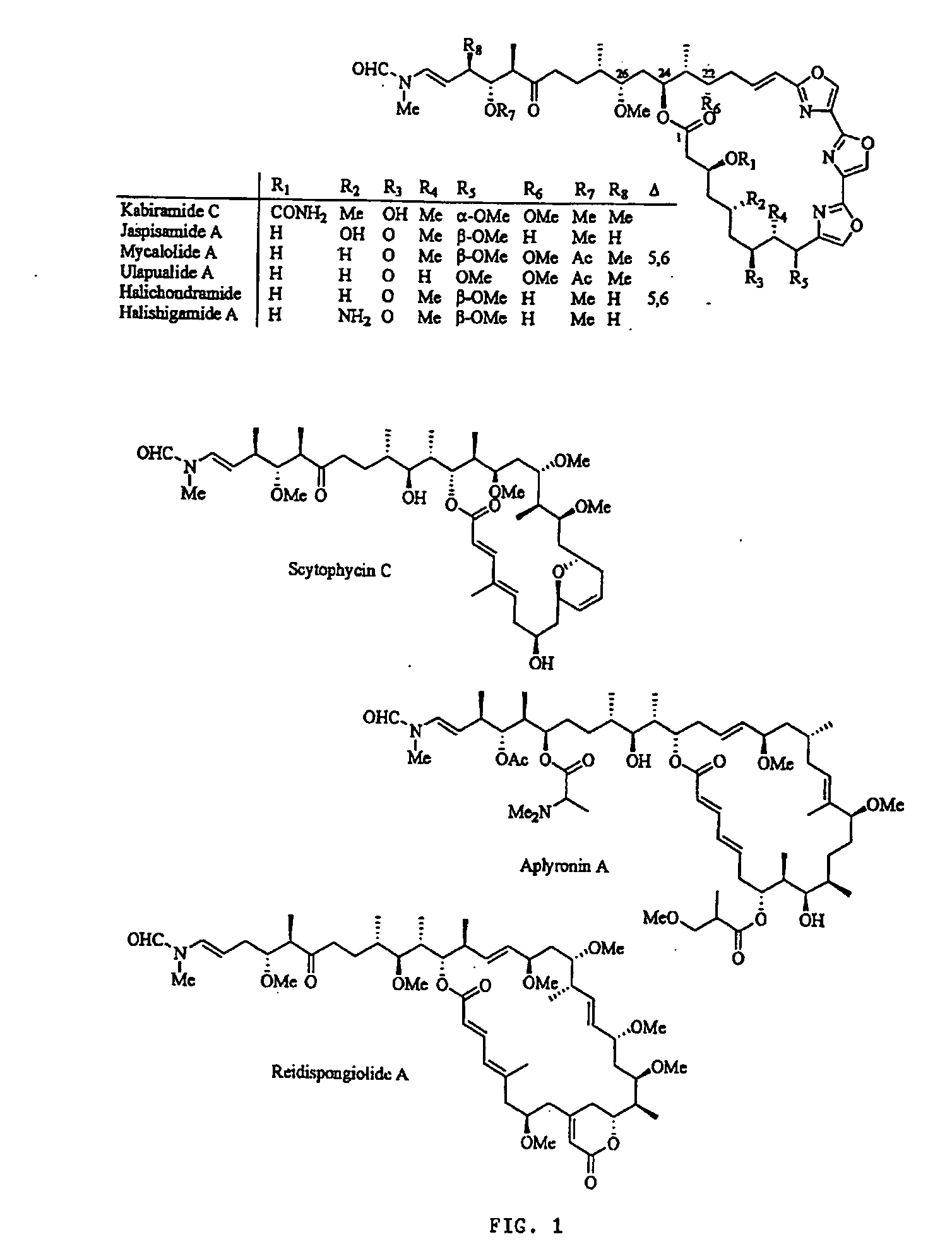 Macrolide analogs and methods for identifying same
