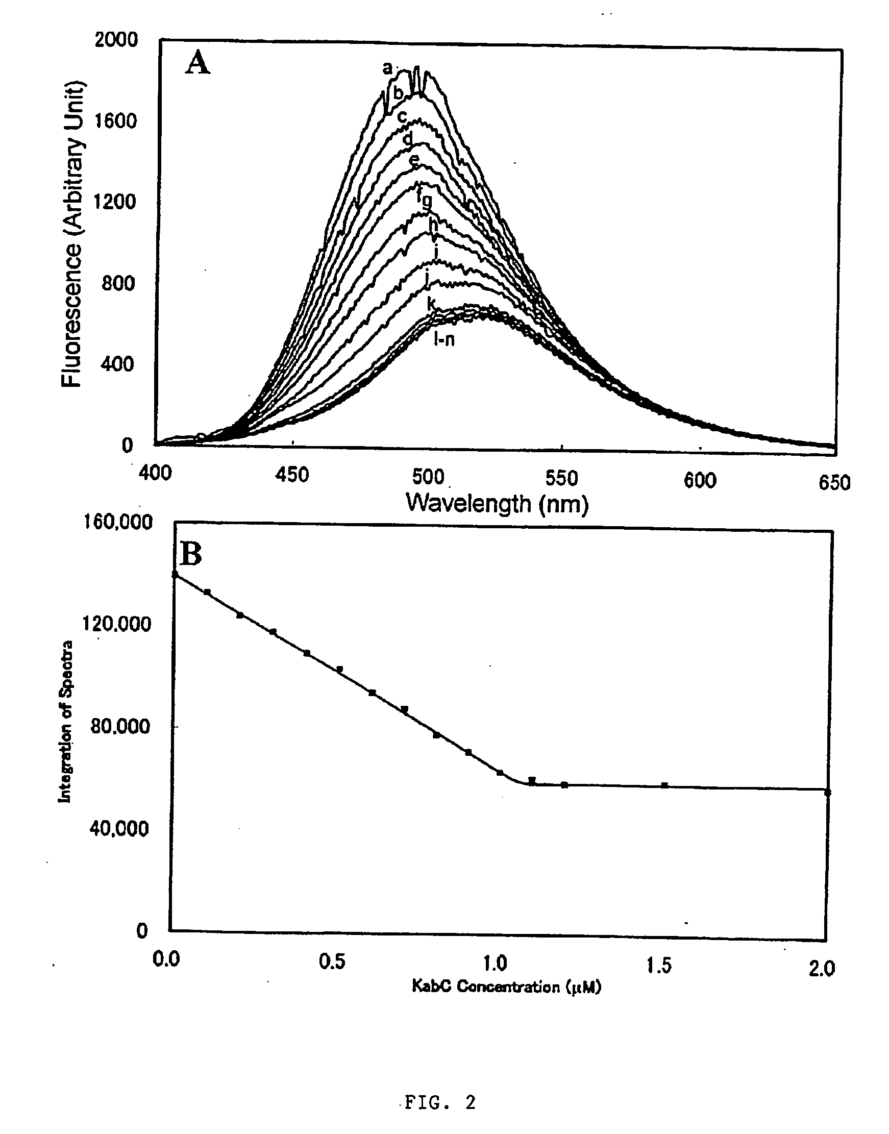 Macrolide analogs and methods for identifying same