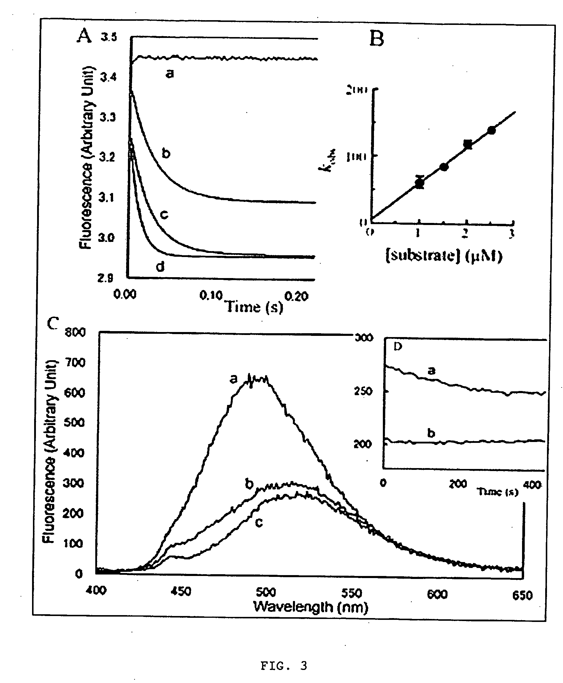 Macrolide analogs and methods for identifying same