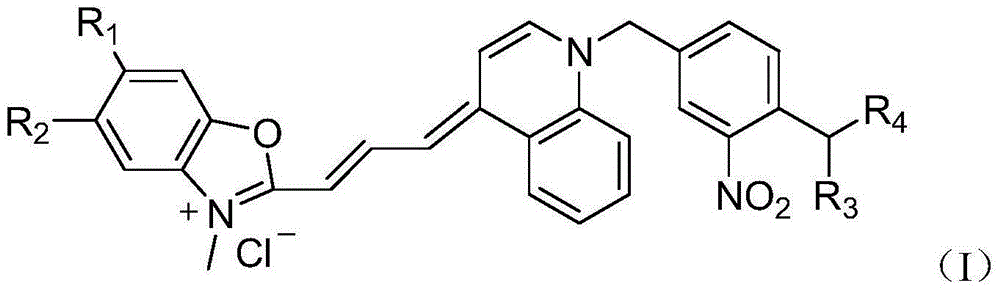 Asymmetric cyanine dye compound and its application