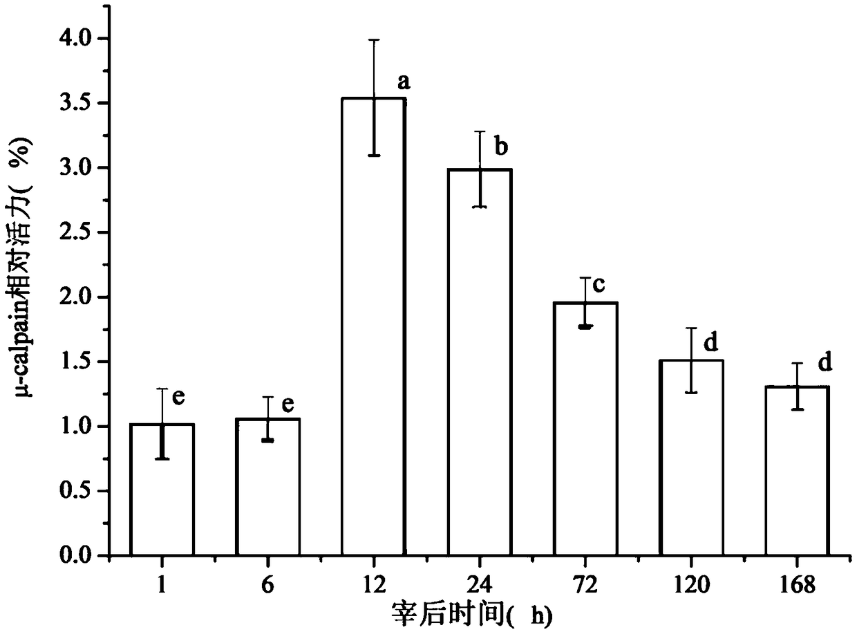 Method for judging optimal muscle maturity based on μ-calpain activity