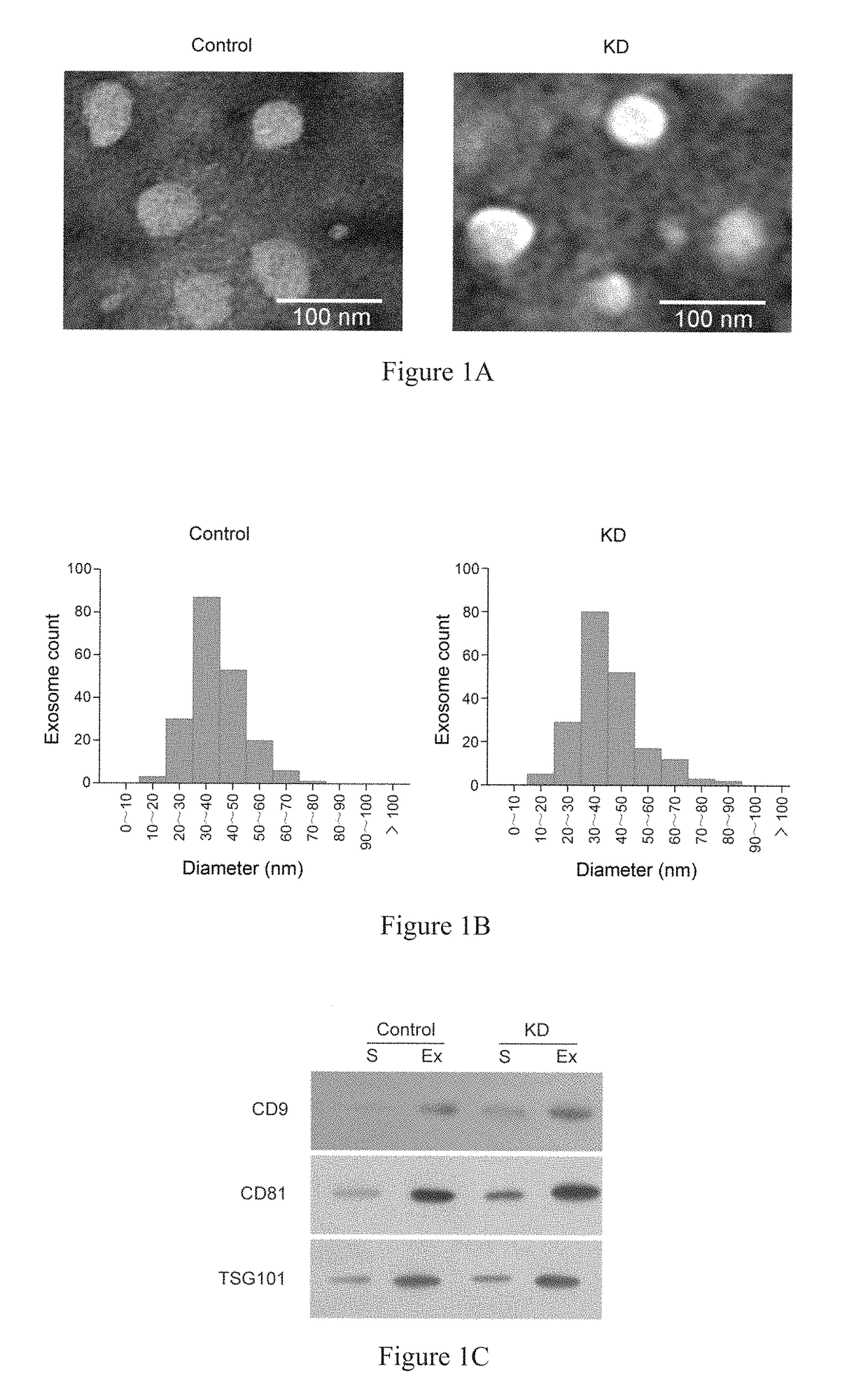 Nucleic acid markers for rapid diagnosis of kawasaki disease and kit for detection of the nucleic acid markers