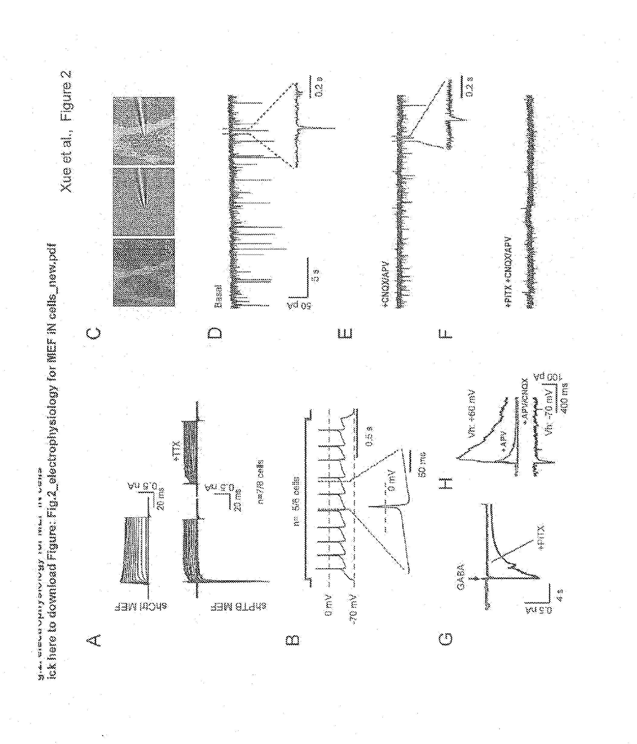Methods for engineering non-neuronal cells into neurons and using newly engineered neurons to treat neurodegenerative diseases