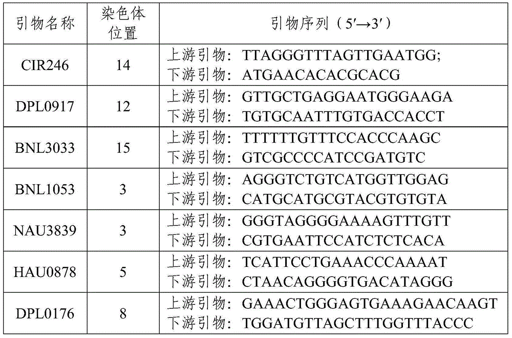 DNA fingerprint detection method of cotton variety 'Zhongmiansuo No.49'
