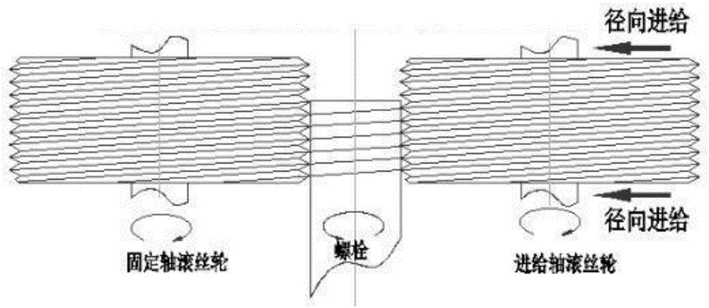 Thread roll-forming process for large-specification bolt