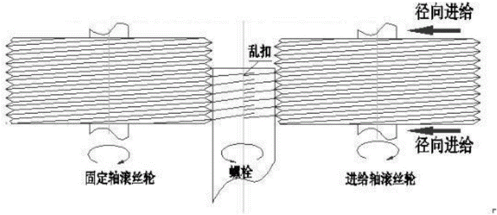Thread roll-forming process for large-specification bolt