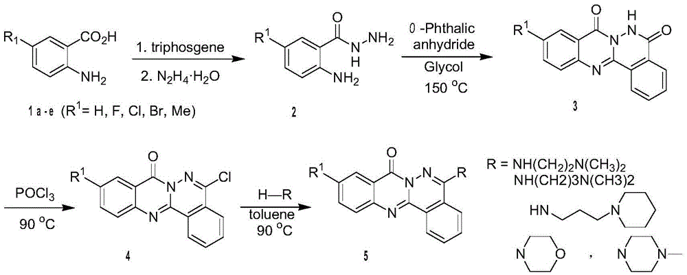 Phthalizine [1,2,b] quinazoline-8-ketone compound and preparation method and application in antitumor drugs of phthalizine [1,2,b] quinazoline-8-ketone compound