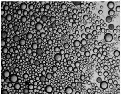Self-repairing water-based coating based on PU/PUF micro-capsules and PCL micro-capsules and preparation method thereof