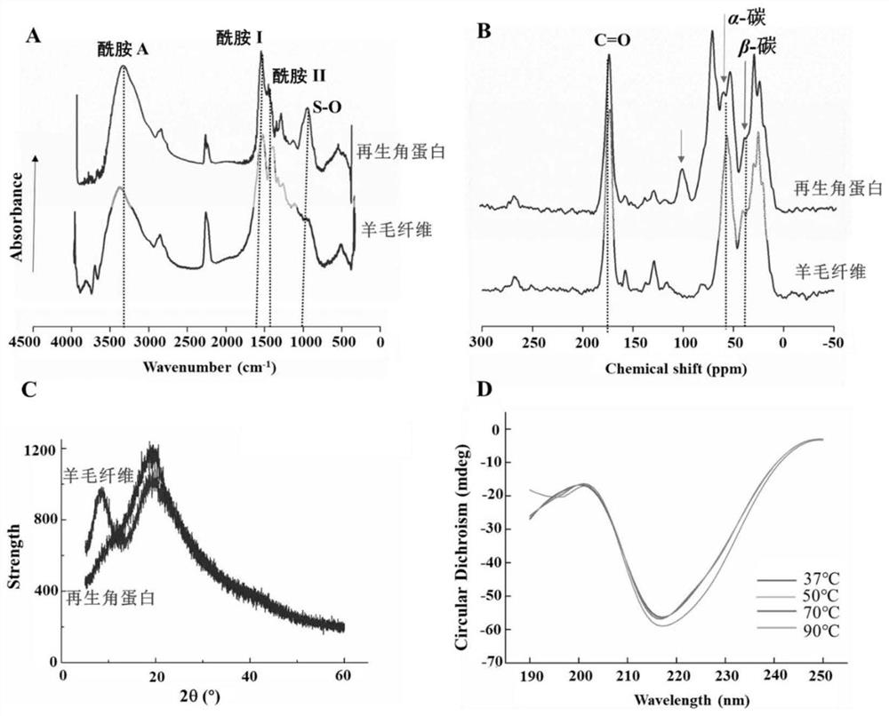 Preparation method of active macromolecular keratin and application thereof as biological dressing