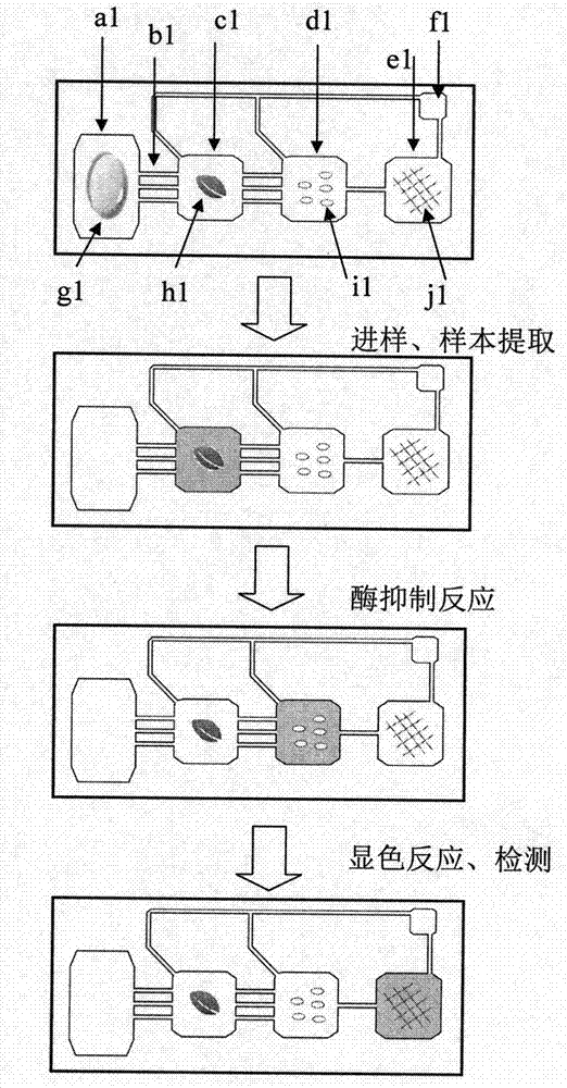 Full-automatic and high-throughput micro-fluidic chip system and method for detecting pesticide residue
