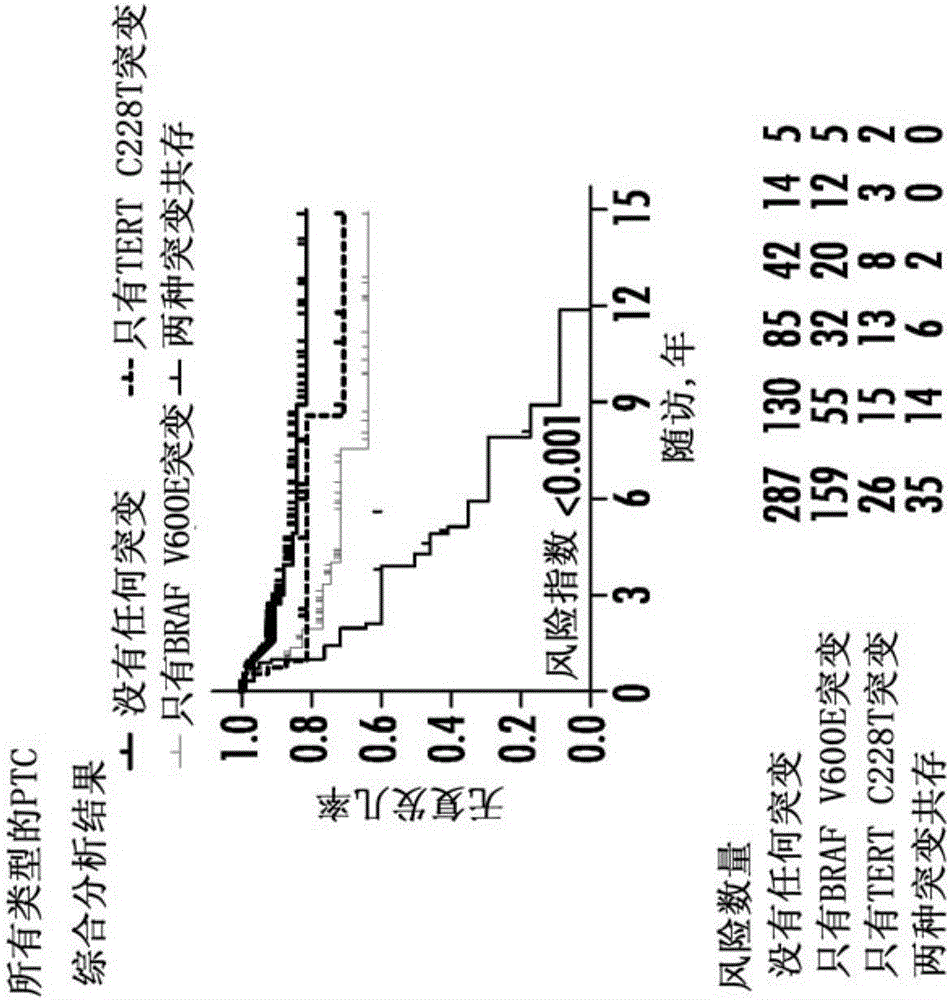 Tert and braf mutations in human cancer