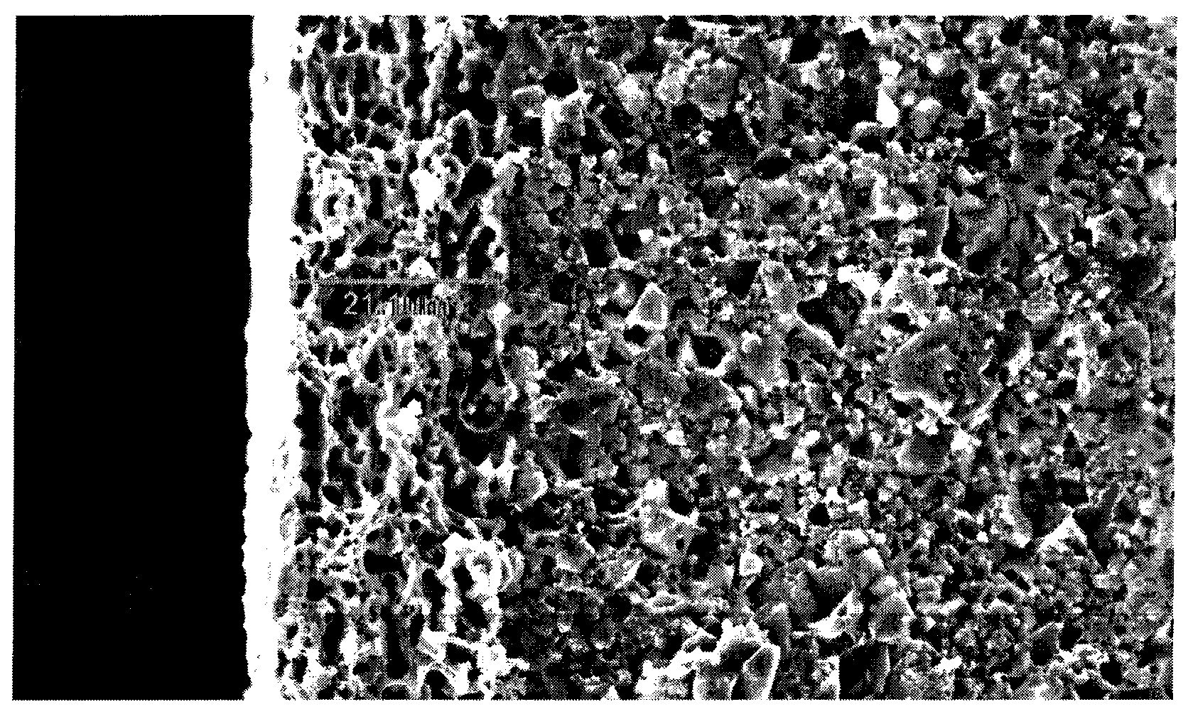 Electrocondution slurry for chip component termination electrode