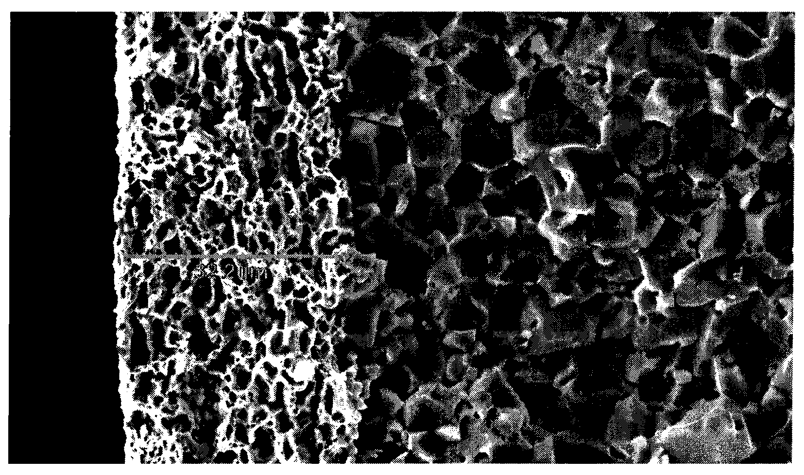 Electrocondution slurry for chip component termination electrode