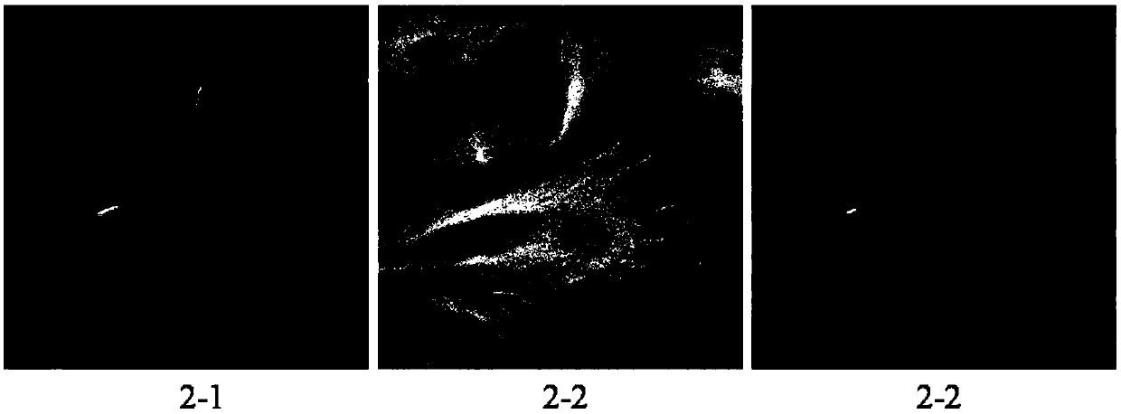 Method for removing Poisson noise in mage based on non-local similarity low rank matrix