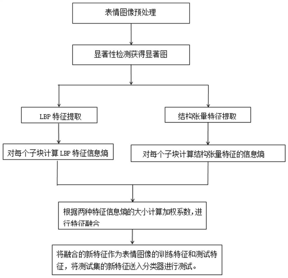 An expression recognition method based on adaptive weighted fusion of saliency structure tensor and lbp features