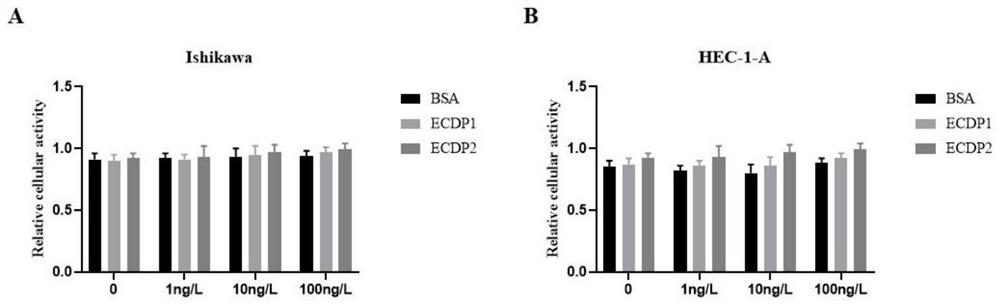 Application of endogenous polypeptide in preparation of targeted medicine for preventing or treating endometrial cancer