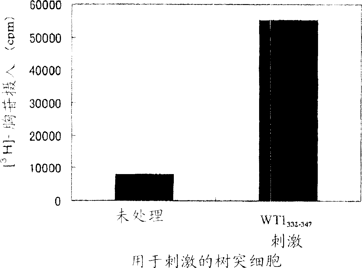 Wt1-origin HLA-DR-binding antigen peptide