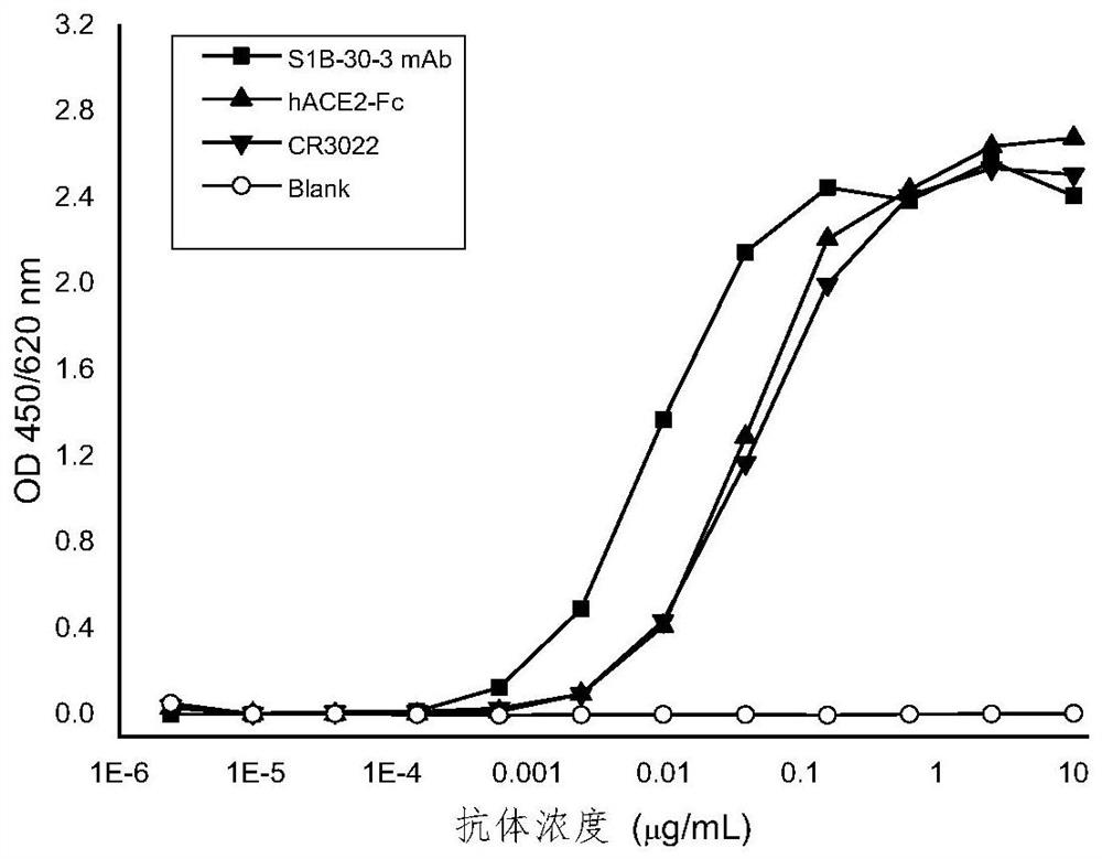 SARS-CoV-2 virus neutralizing antibodies and uses thereof