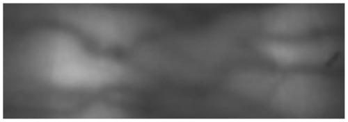 Finger vein image enhancement method based on image processing