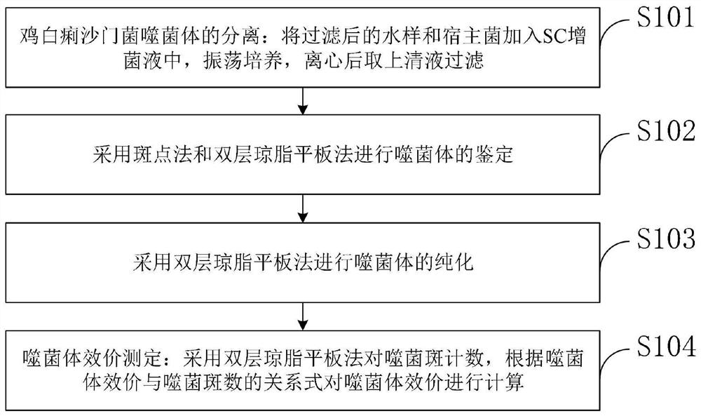 Separation and purification method of salmonella pullorum specific lytic bacteriophage