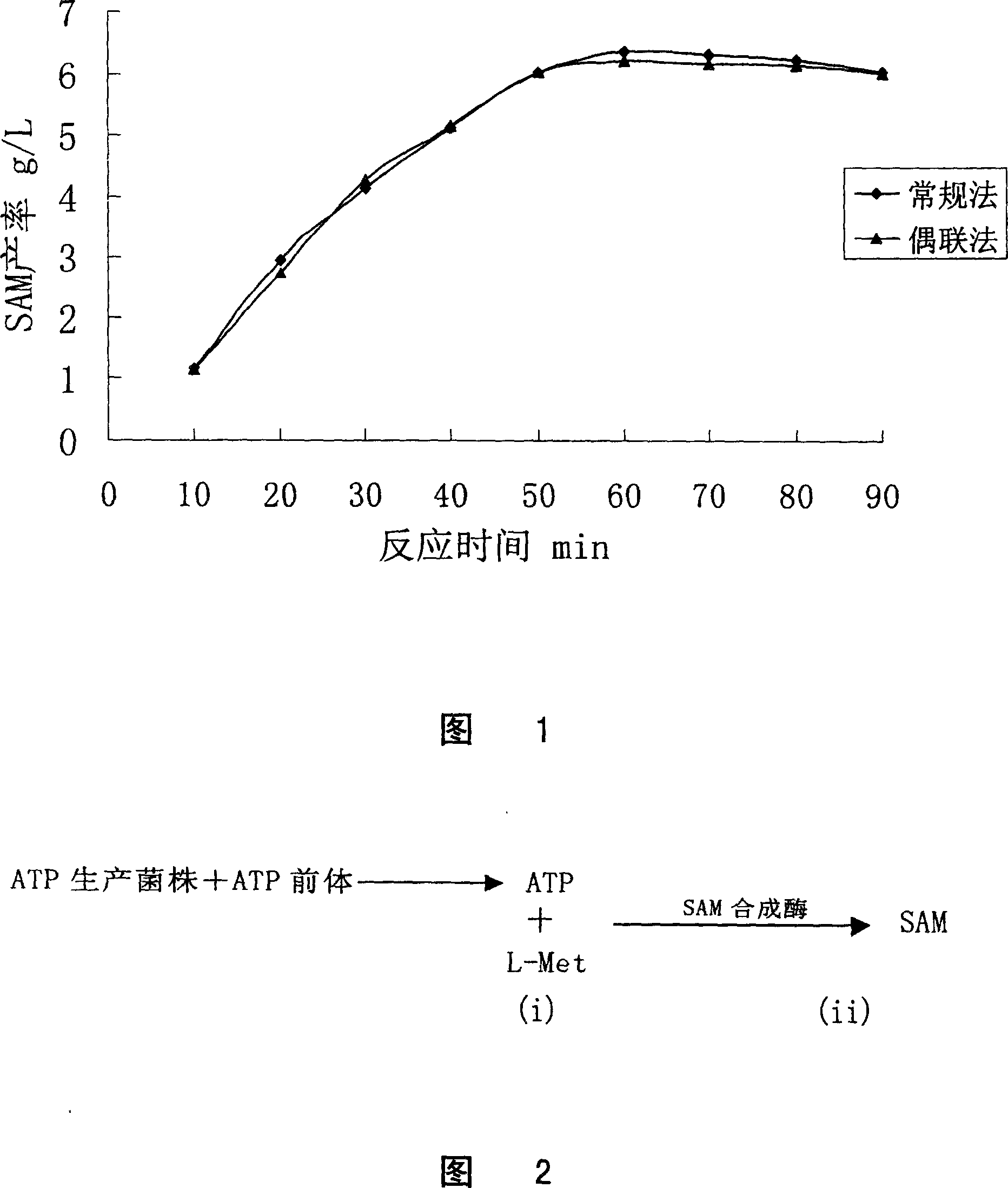 Novel aden osyl methionine in vitro enzymatic transformation method