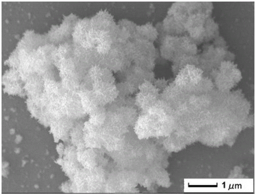 Method using rheological phase reaction method to synthesize flower-ball-like mesoporous alumina