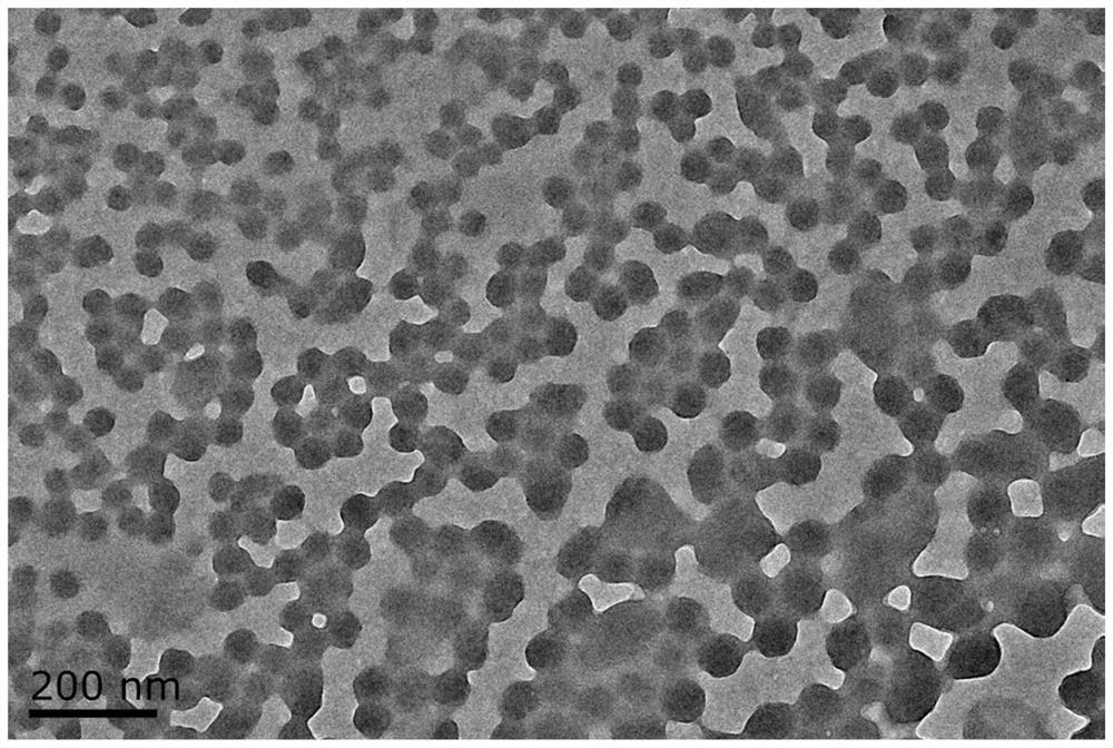 Human-derived polypeptides and applications thereof for constructing tumor pH-responsive microrobots