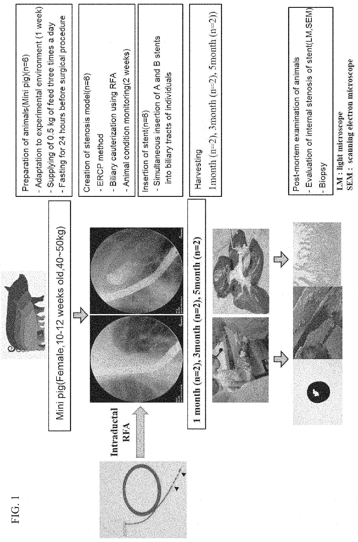 Method of manufacturing plastic stent using plasma