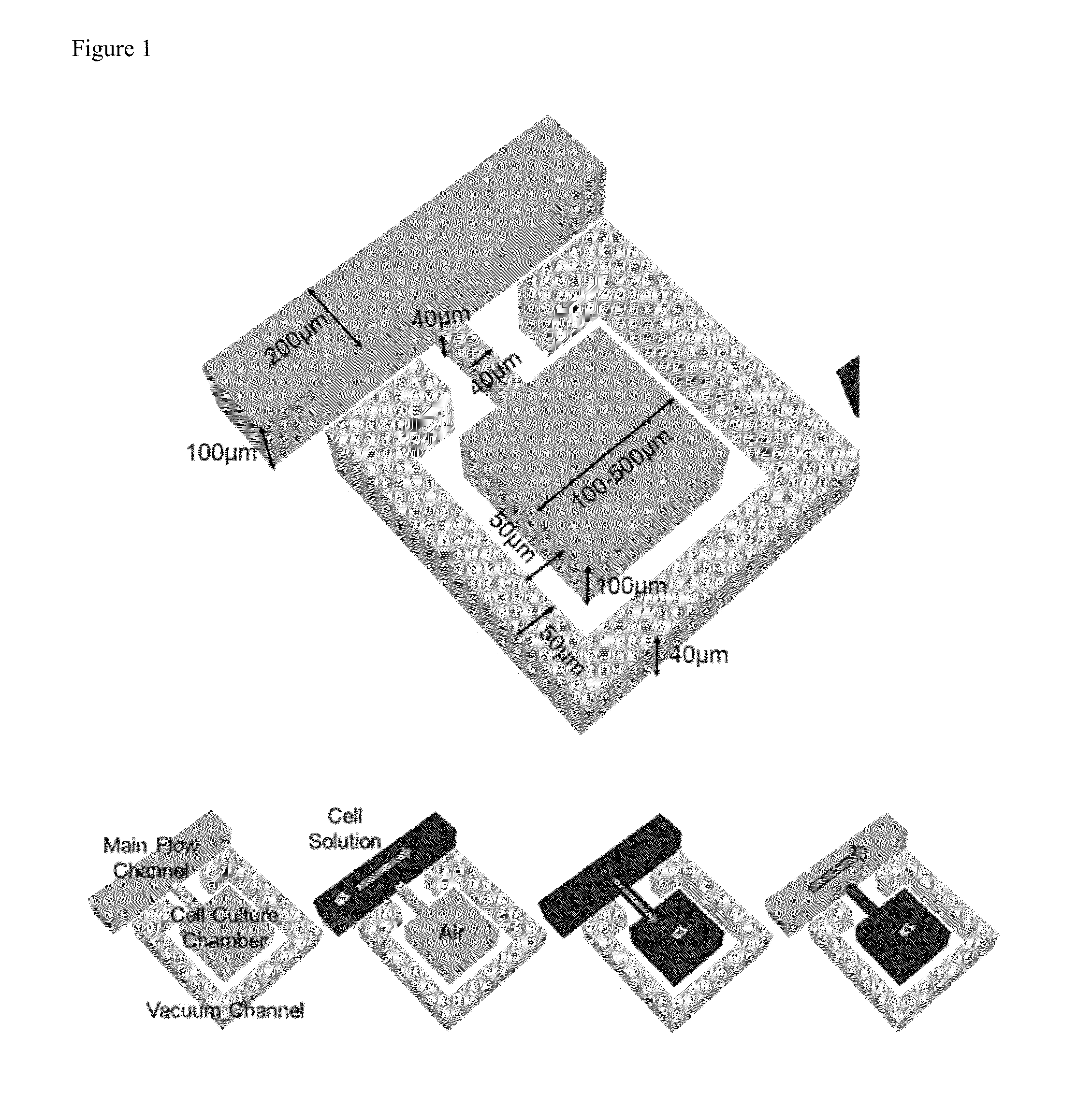 Systems and methods for single cell isolation and analysis