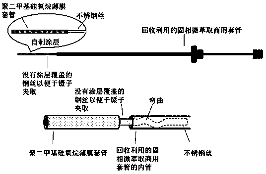 Method for rapidly detecting clenbuterol hydrochloride with solid phase microextraction and gas chromatography-mass spectrometry technique