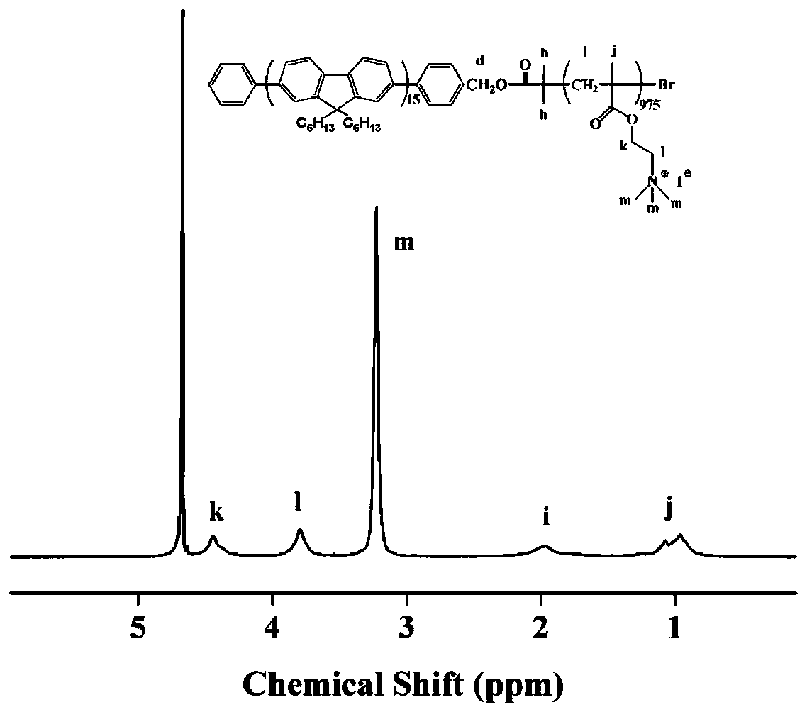 High-molecular copolymer probe