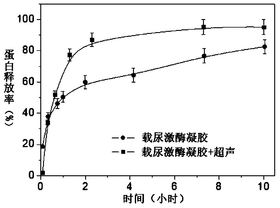 A kind of urokinase preparation based on polymer carrier and its preparation method