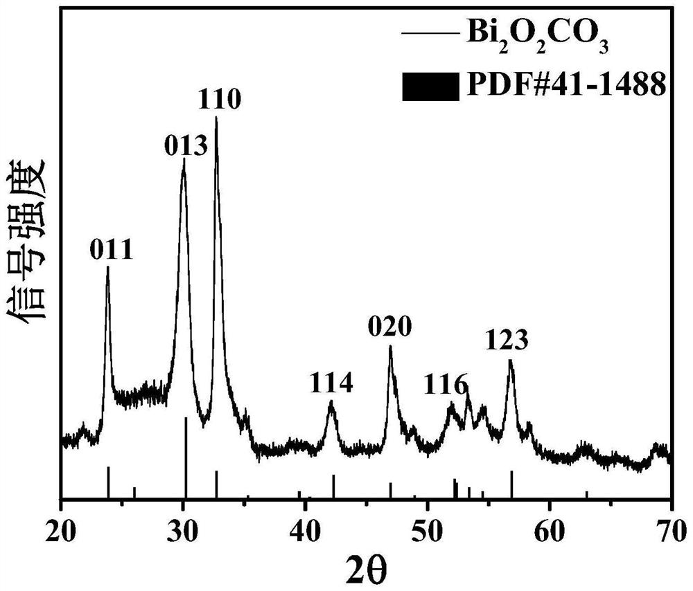 Bismuth carbonate nano material as well as preparation method and application thereof