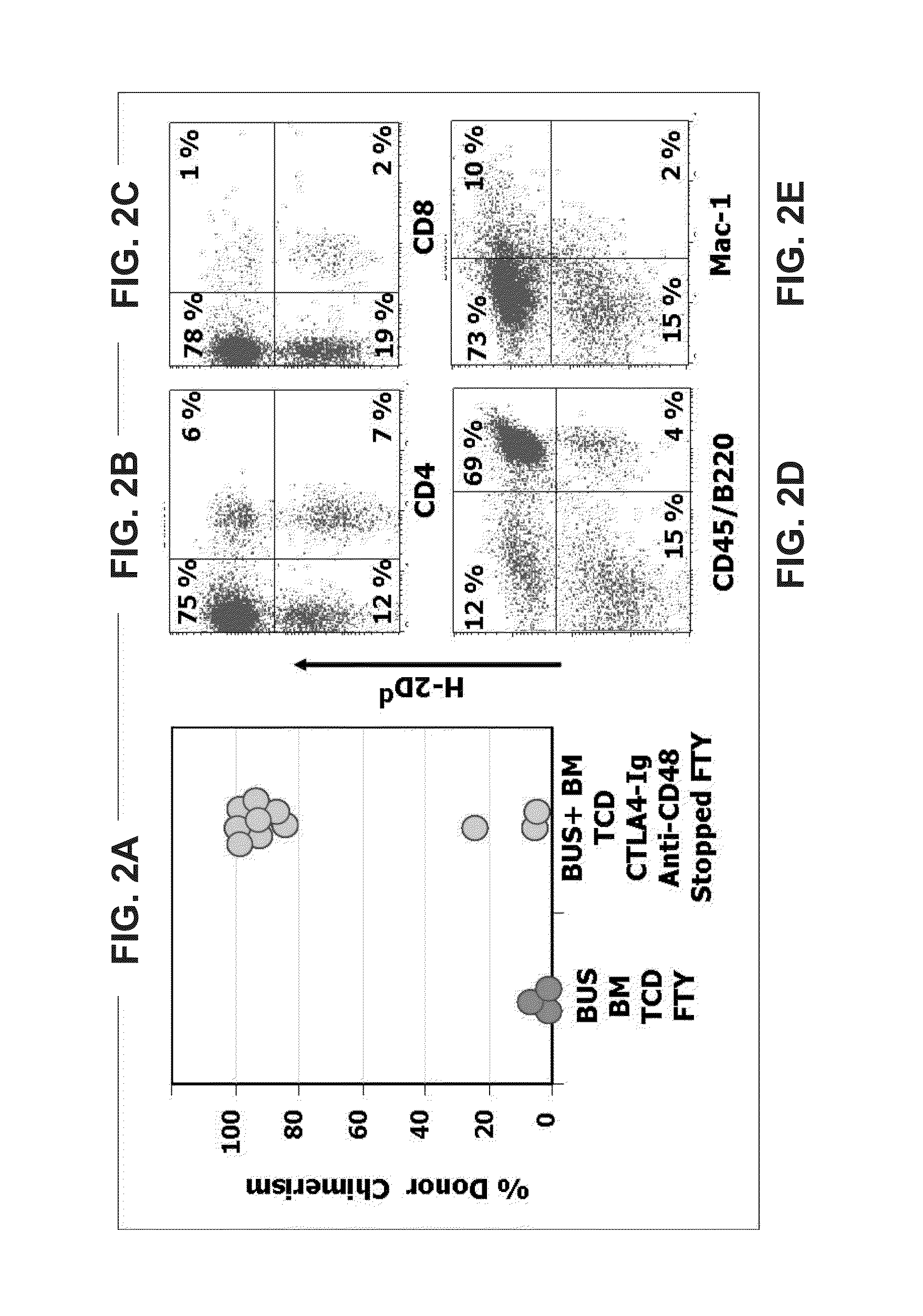 Immunosuppressive drug combination for a stable and long term engraftment