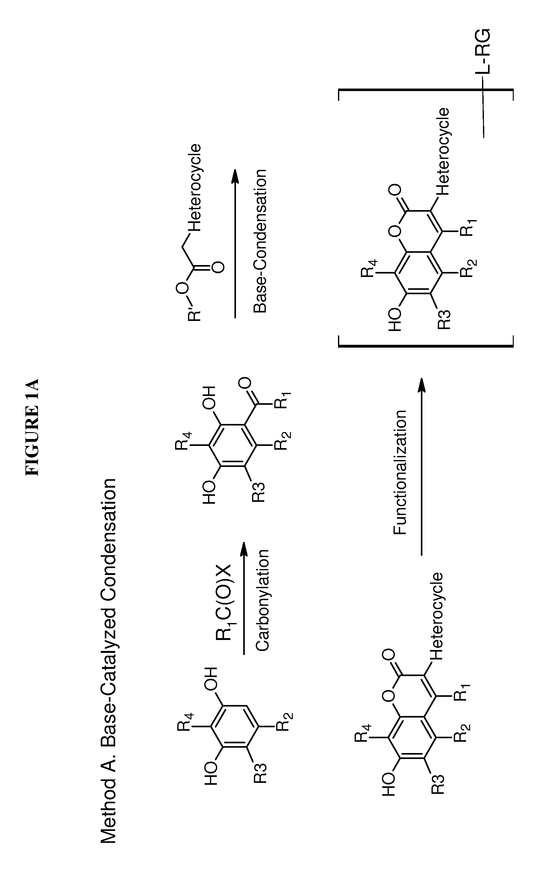 Reactive heterocycle-substituted 7-hydroxycoumarins and their conjugates